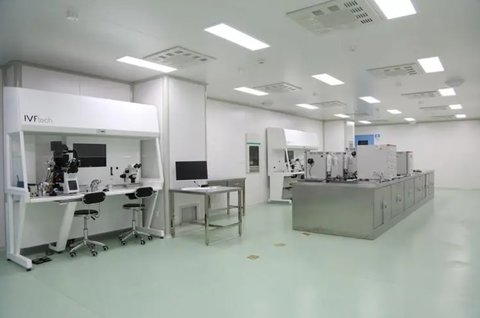 试管代怀多久小腹会隆起？揭秘孕期腹部变化